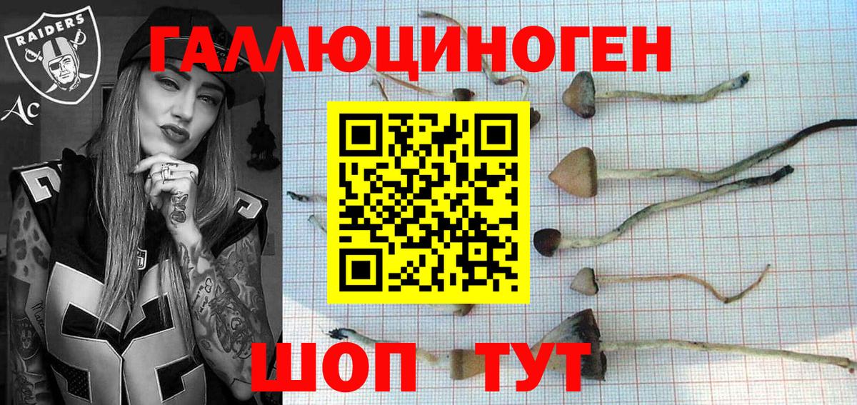 Псилоцибиновые грибы Cubensis Выкса