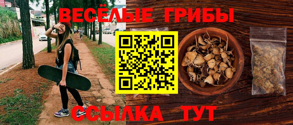Выкса  Псилоцибиновые грибы прущие грибы  Вход с VPN 
